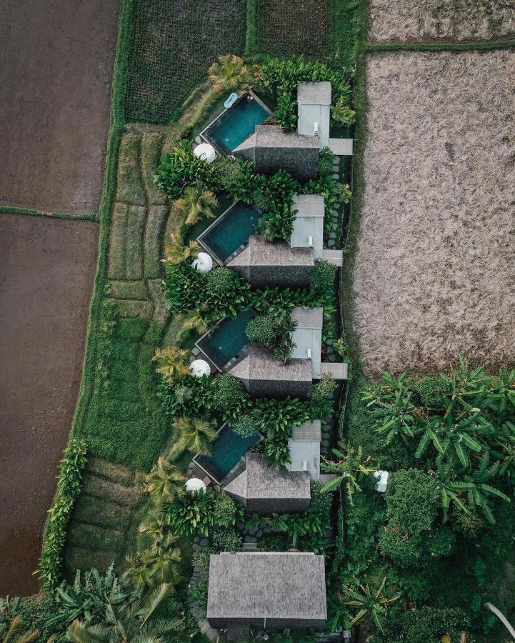 Lasamana Villas Ubud By Pramana Villas Exteriér fotografie