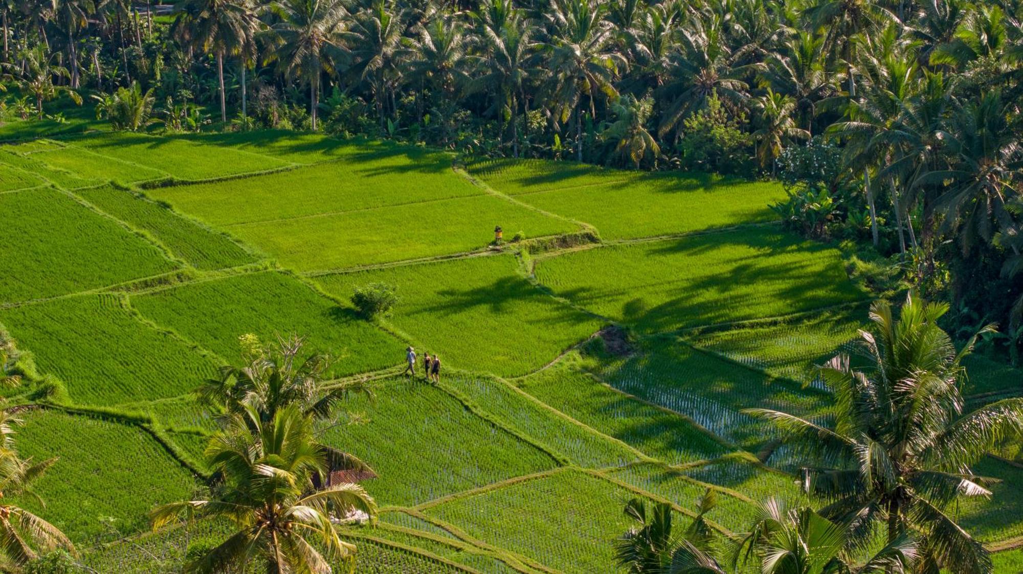 Lasamana Villas Ubud By Pramana Villas Exteriér fotografie